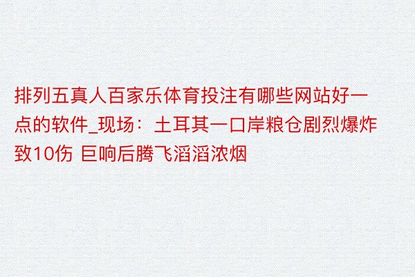排列五真人百家乐体育投注有哪些网站好一点的软件_现场：土耳其一口岸粮仓剧烈爆炸致10伤 巨响后腾飞滔滔浓烟