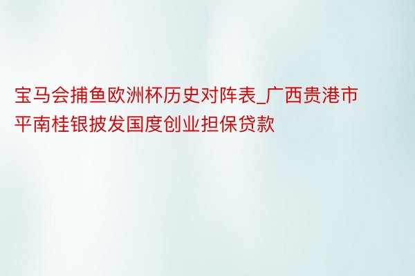 宝马会捕鱼欧洲杯历史对阵表_广西贵港市平南桂银披发国度创业担保贷款