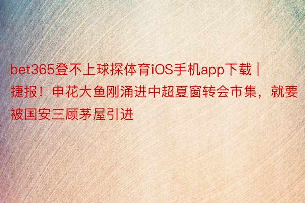 bet365登不上球探体育iOS手机app下载 | 捷报！申花大鱼刚涌进中超夏窗转会市集，就要被国安三顾茅屋引进