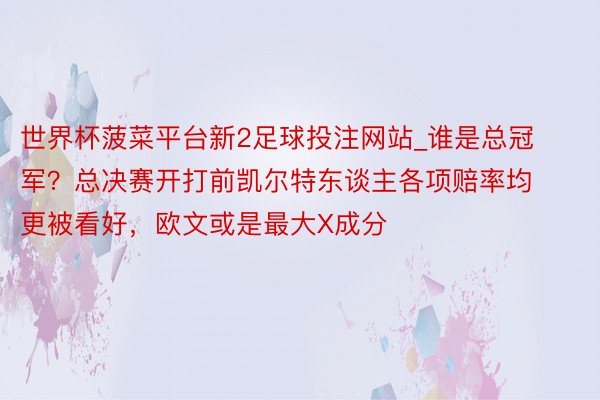 世界杯菠菜平台新2足球投注网站_谁是总冠军？总决赛开打前凯尔特东谈主各项赔率均更被看好，欧文或是最大X成分