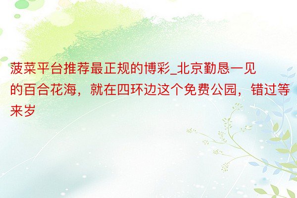 菠菜平台推荐最正规的博彩_北京勤恳一见的百合花海，就在四环边这个免费公园，错过等来岁