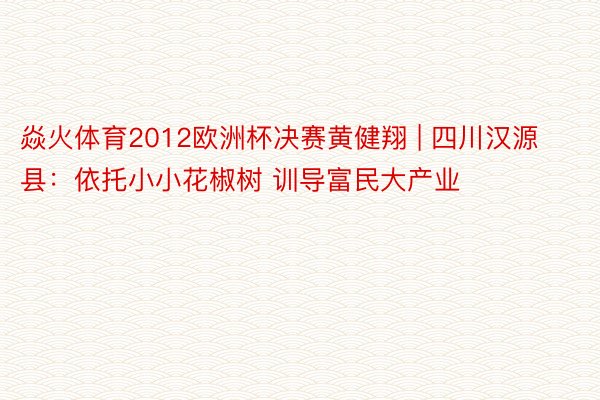 焱火体育2012欧洲杯决赛黄健翔 | 四川汉源县：依托小小花椒树 训导富民大产业